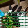 imageSunnyglade 4 X100 Ft Outdoor Snow Fence Plastic Safety Temporary Garden Netting for PoultryRabbits Chicken DogsOrangeGreen