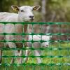 imageSunnyglade 4 X100 Ft Outdoor Snow Fence Plastic Safety Temporary Garden Netting for PoultryRabbits Chicken DogsOrangeGreen